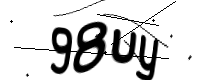 captcha_img