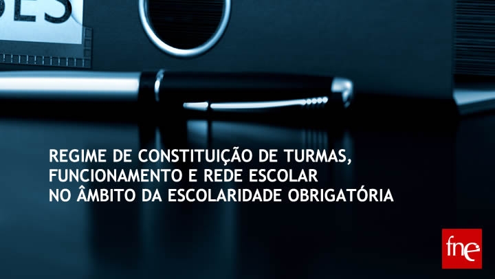 Regime de constituição de turmas, funcionamento e rede escolar no âmbito da escolaridade obrigatória