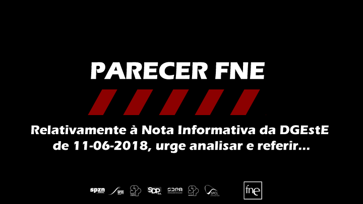 PARECER FNE