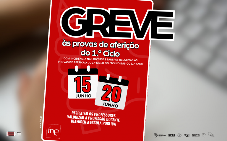 Organizações sindicais de professores convocam greve às provas de aferição do 1.º Ciclo