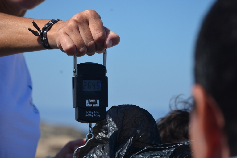 FNE/AFIET em ação de limpeza de praia na Ericeira