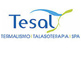 Tesal